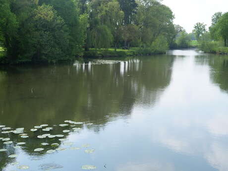 Étang de pêche la Thibeauderie