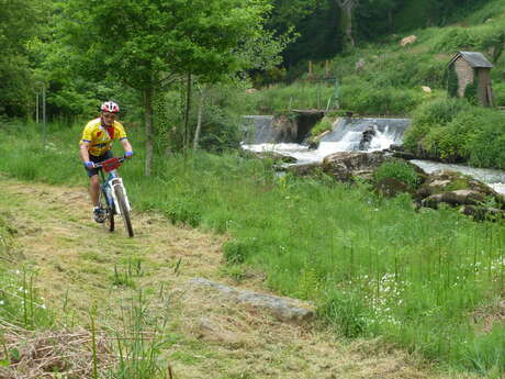 LOCATION DE VÉLOS - PARC DE LOISIRS