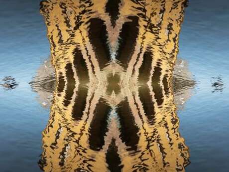 EXPOSITION PHOTOGRAPHIQUES D'IRENE DORIA - IMPRESSIONS CONTEMPORAINES
