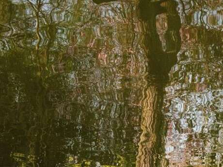 Exposition photographique d'Irene Doria - Impressions contemporaines
