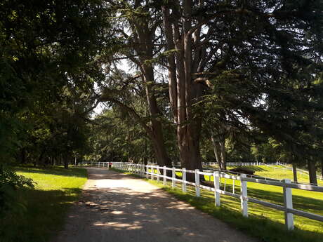 PARC DÉPARTEMENTAL DE L'ISLE BRIAND