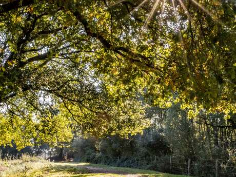 MARAIS ET BOCAGE