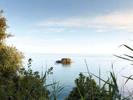 PLAGE DU ROCHER DU LION