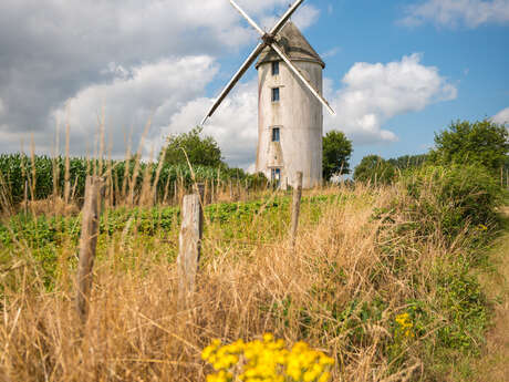 SENTIER DU MOULIN