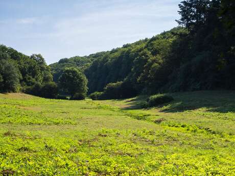 SENTIER DU BERLIQUET