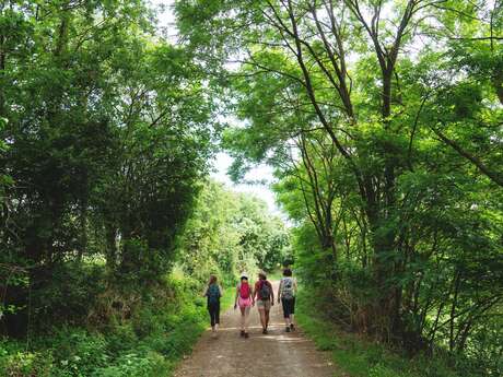 SENTIER DU SILLON DE BRETAGNE