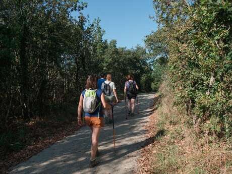 SENTIER DU TERTRE