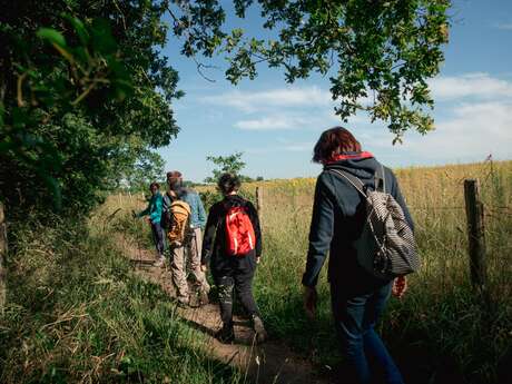 SENTIER DE LA VALLÉE MISMY