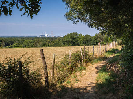 SENTIER DES HAUTS DU SILLON