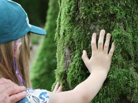 Balade famille "Forêt sensorielle"