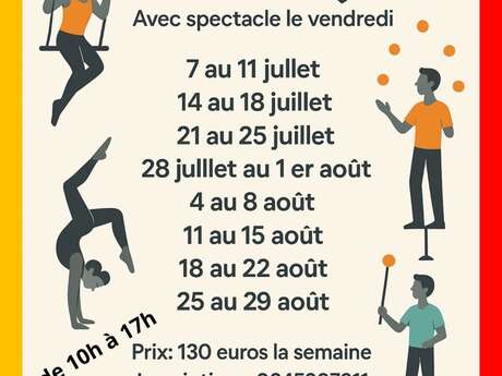 Stages de cirque
