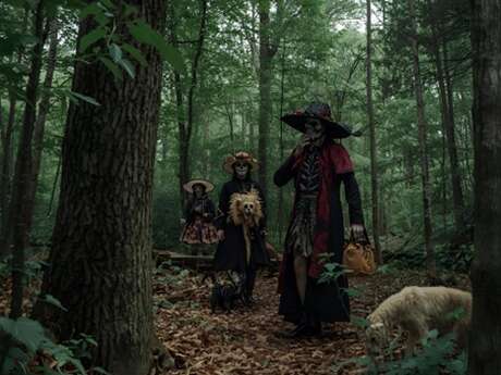 Animation "Les esprits de la forêt"