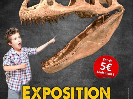 Dino Expo - Segré