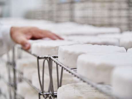 INDUSTRIELLE ATTITUDE : FROMAGERIE VAUBERNIER