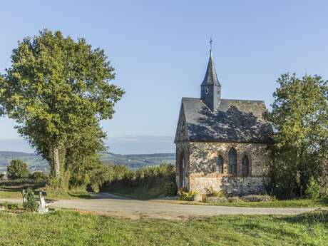 BOUCLE MULTI-RANDONNÉE N°07 - ASSÉ-LE-BÉRENGER - ST GEORGES S/ERVE - VOUTRÉ