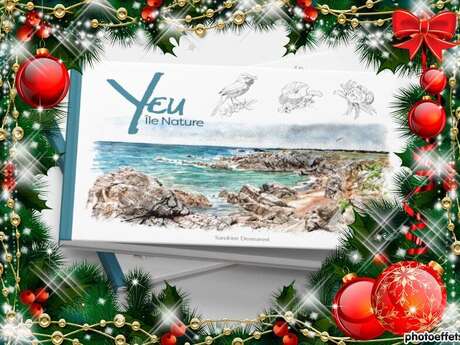 POINT D'OBSERVATION ORNITHO ET DEDICACE LIVRE "YEU, ILE NATURE"
