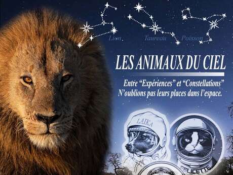 17ème Édition du Festival d'Astronomie - La Chapelle aux Lys