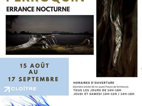 Exposition Patrick PERROQUIN " Errance nocturne" Exposition Patrick PERROQUIN " Errance nocturne"