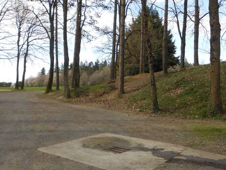 Aire du bois de la Pentière