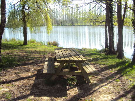 AIRE DE PIQUE-NIQUE_ETANG DE L'ARCEAU