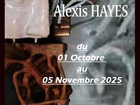 Exposition - Alexis Hayes