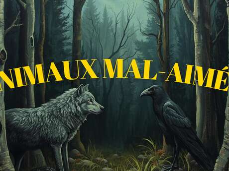 Animation Famille "Animaux mal-aimés" au château de Baugé