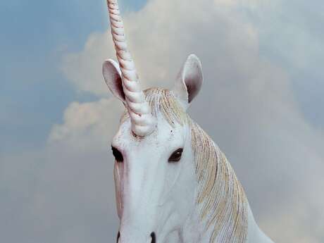 Le coin des enfants : À la recherche des animaux fantastiques