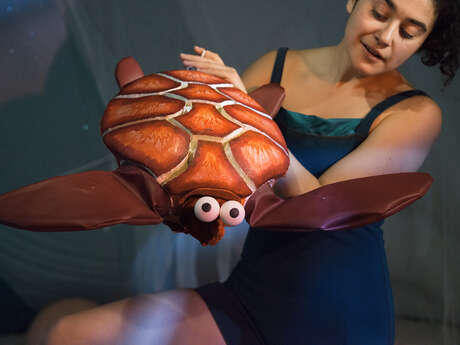 Au fond des mers : spectacle immersif sous coquillage Au fond des mers : spectacle immersif sous coquillage