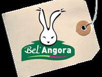 BEL ANGORA