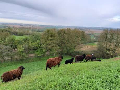 BUTTES DE PERAY - "LE CASTRUM PIRETI"