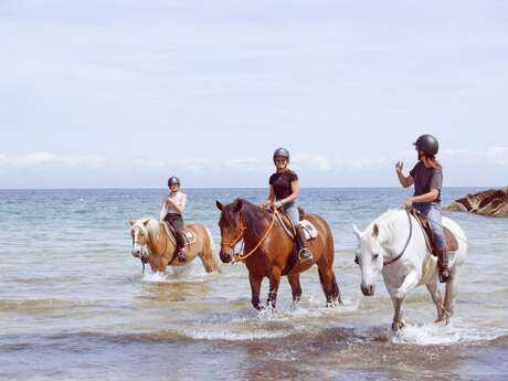 Balades à cheval privées et sur-mesure avec Cavalcoaching