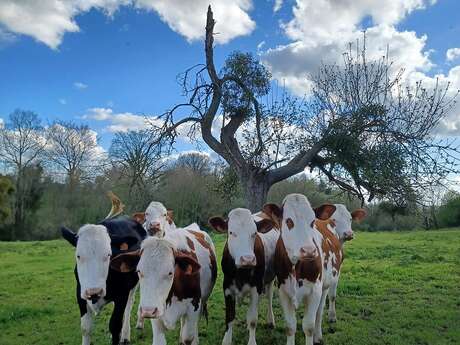 PRODUITS BIO - GAEC DE L'HERBE AUX FROMAGES