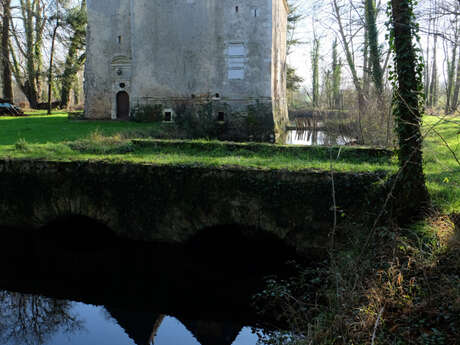 Gîte du Château des Aulnays