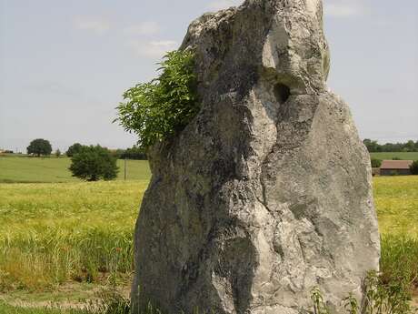 Menhir de Pierrefiche