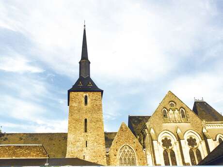 ÉGLISE SAINT-MARTIN DE VERTOU - LE LION D'ANGERS