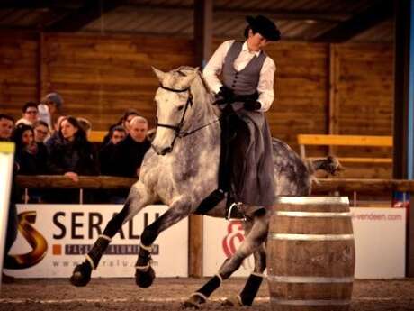 Stage équitation de travail - Equifeel