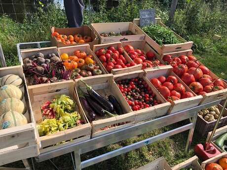 FERME DE LA CLAIE, MARAÎCHAGE, VENTE DIRECTE ET CUEILLETTE