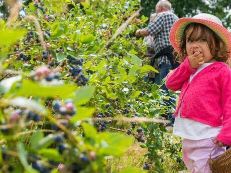 Ferme Equestre des Bleuets