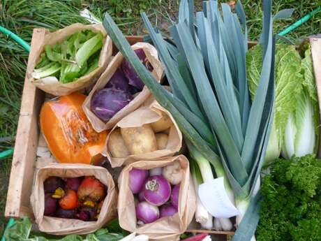 LES LÉGUMES DU PÂTIS