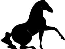Piste aux poneys