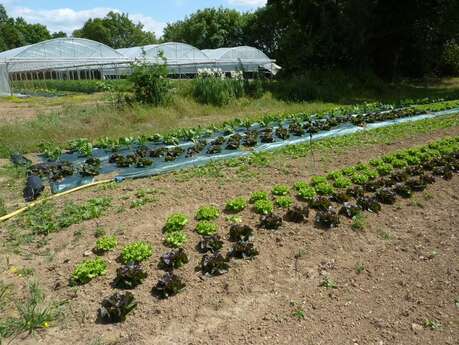 LES JARDINS DE LA COCCINELLE