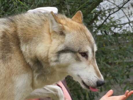 Rencontres pédagogiques animalières