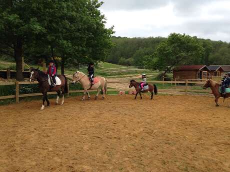 Les Mille Sources Équitation, centre et randonnée équestre