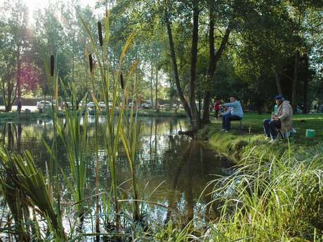 Pêche à la truite du moulin hubeau