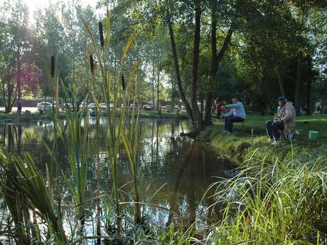 TRUITES AU MOULIN DE HUBEAU