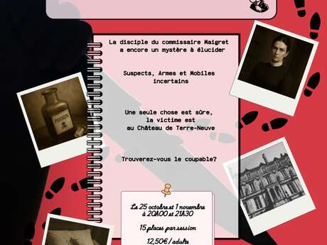 Murder Party ; Les enquêtes d’Elisabeth “ l’affaire Simenon"