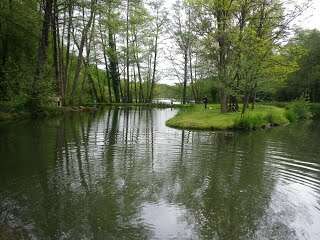 Pêche à la truite à Noyant-la-Gravoyère