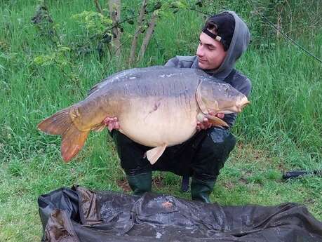 Pêche carpiste et de loisirs