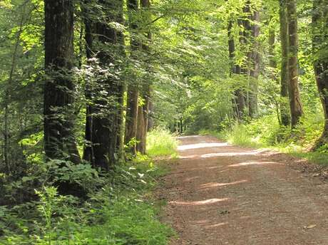Tracé pédestre La Porte du Bocage