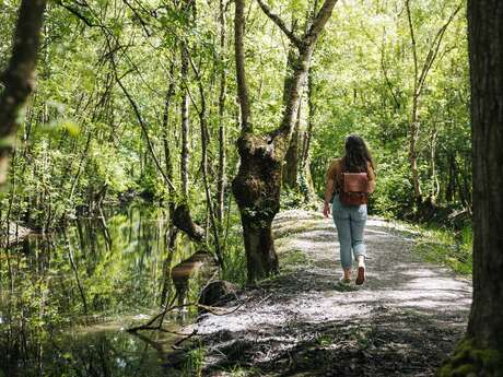 Circuit pédestre La Route d'Eau